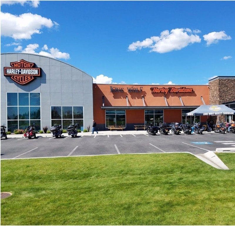 lone-wolf2 lone-wolf2