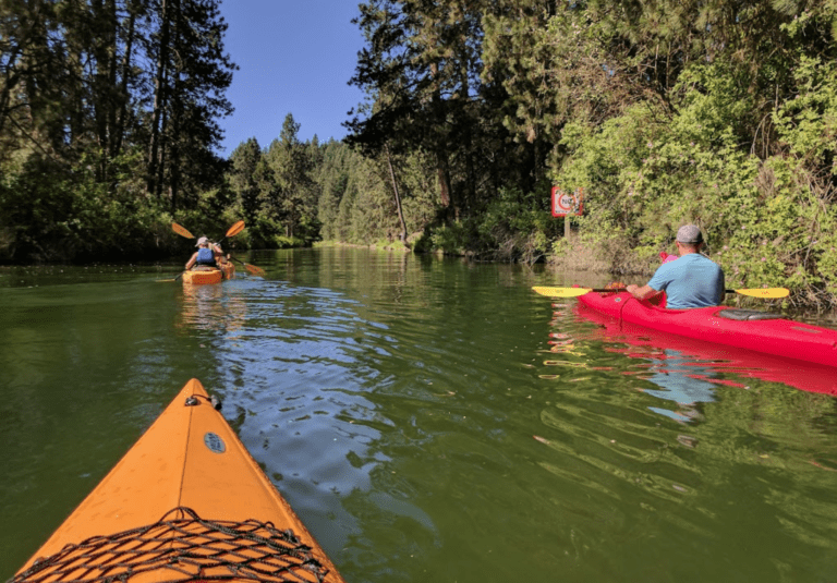 Screen Shot 2022 10 24 at 3.36.42 PM 768x535