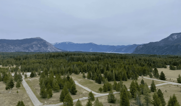 Screen Shot 2022 10 28 at 3.37.53 PM 768x450