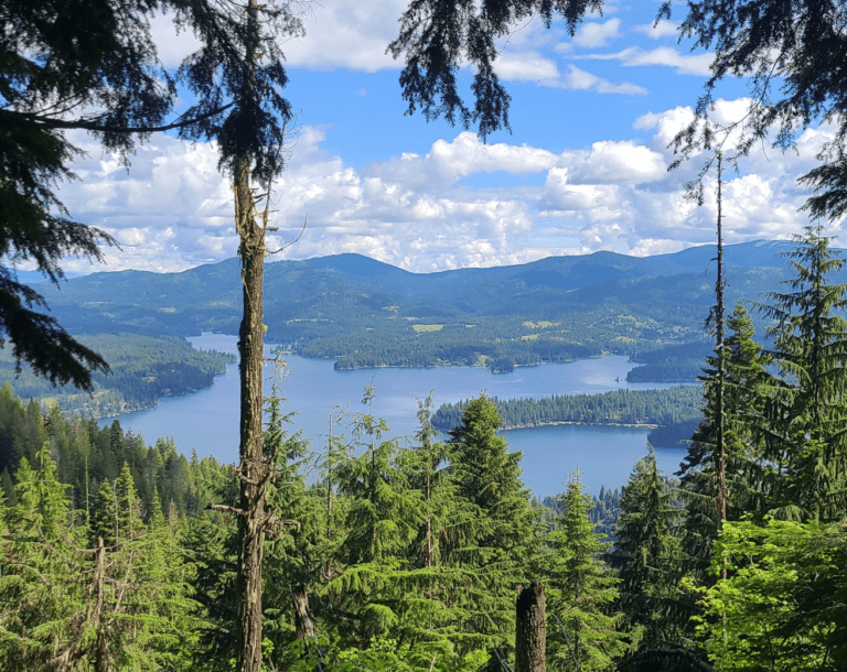 Screen Shot 2022 11 02 at 10.51.21 AM 768x610