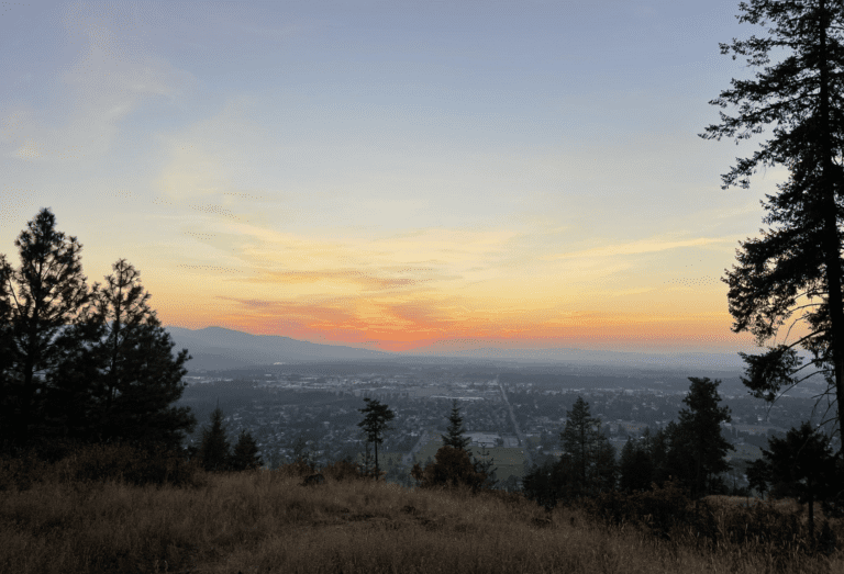 Screen Shot 2022 11 02 at 10.52.02 AM 768x523