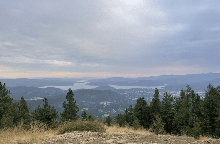 Screen Shot 2022 11 02 at 10.52.49 AM 768x503