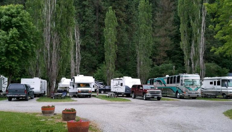 e499c8ae df76 4fa7 a2de f7443d9b1c98 768x439