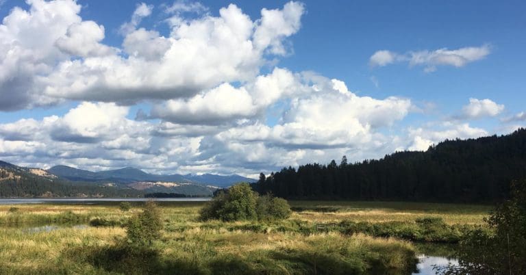 323281775 469795178656621 8041629925331653525 n 768x402