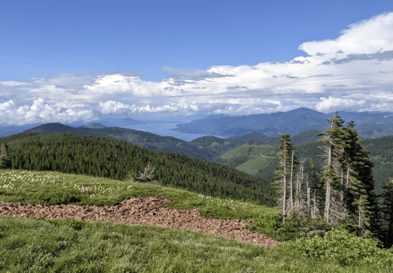 Screen Shot 2022 11 02 at 11.47.05 AM 768x535