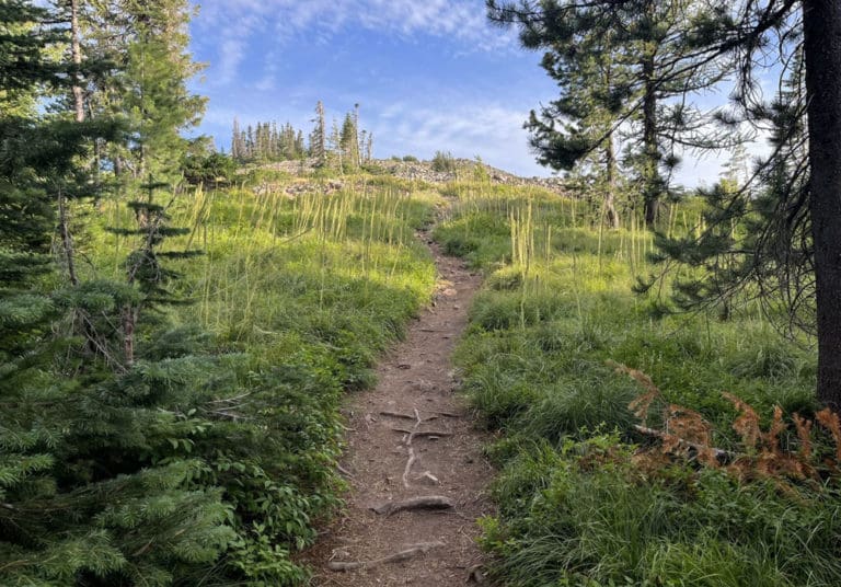 Screen Shot 2022 11 02 at 11.48.10 AM 768x536