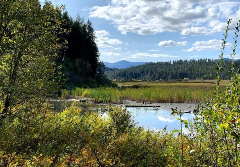 Screen Shot 2022 11 02 at 12.12.18 PM 768x535