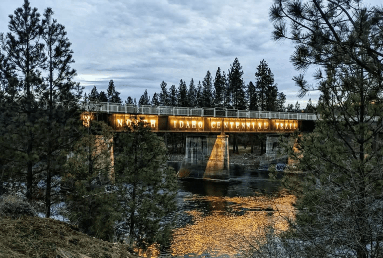 Screen Shot 2023 03 23 at 9.29.44 AM 768x518