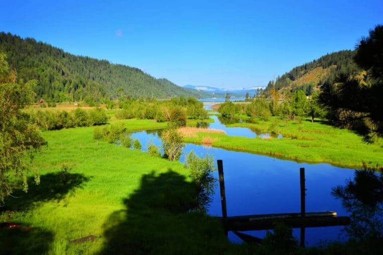 view 2 768x512