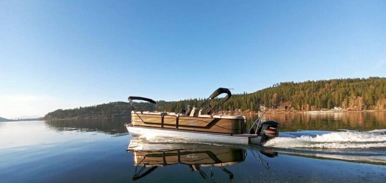 Premium Pontoon Rental image 1 1024x487 1 768x365