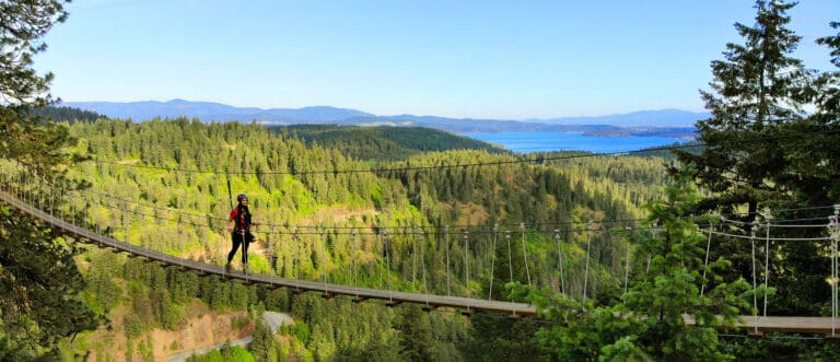 BridgeSlider 768x331