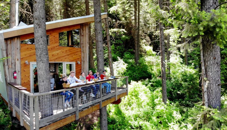 treehouseslider 768x440
