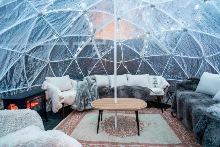 c2a64efa b6cc 4c28 8b21 7470764b22bb 768x513