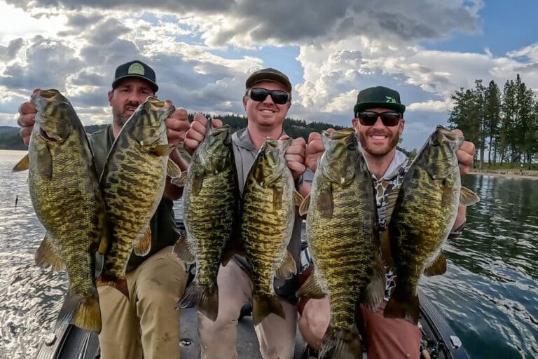 bass 768x512